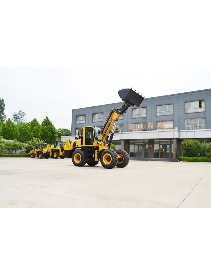 HW3000 Telescopic Loader