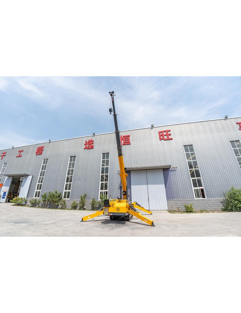 HW500 Spider Crane