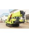 HW1000 Spider Crane